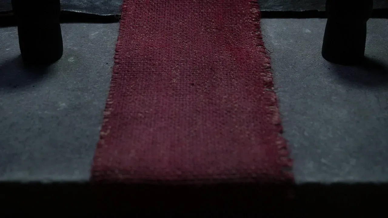 Pourpre présent — photogramme 5