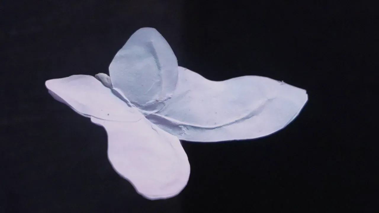 Pourpre présent — photogramme 13