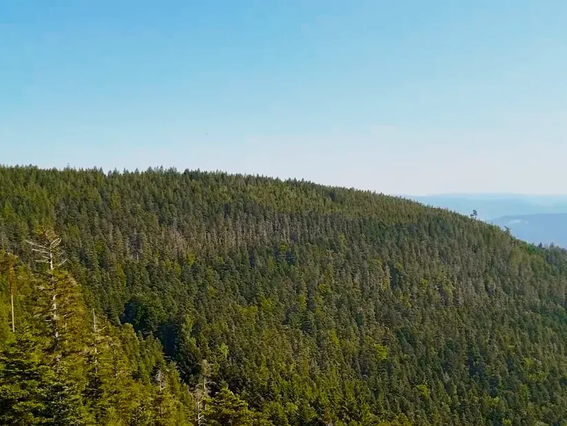 Les Secrets des Vosges — Documentaire