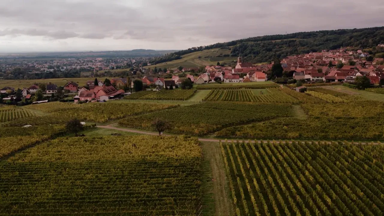 La Germanisation de l’Alsace — photogramme 1