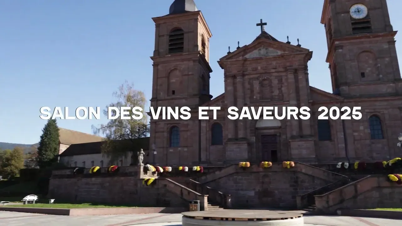 Salon du Vin et des Saveurs — photogramme 2