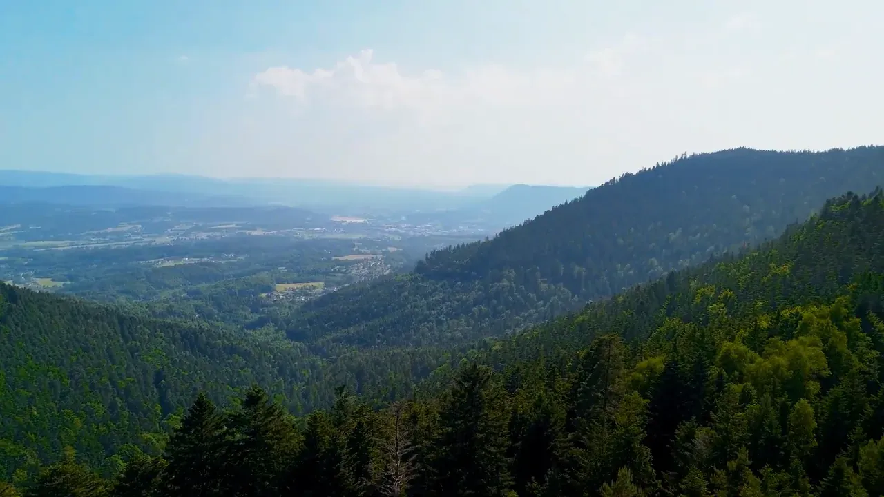 Les Secrets des Vosges — photogramme 6