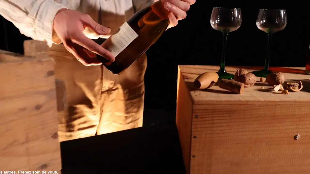 Salon du Vin et des Saveurs — photogramme 16