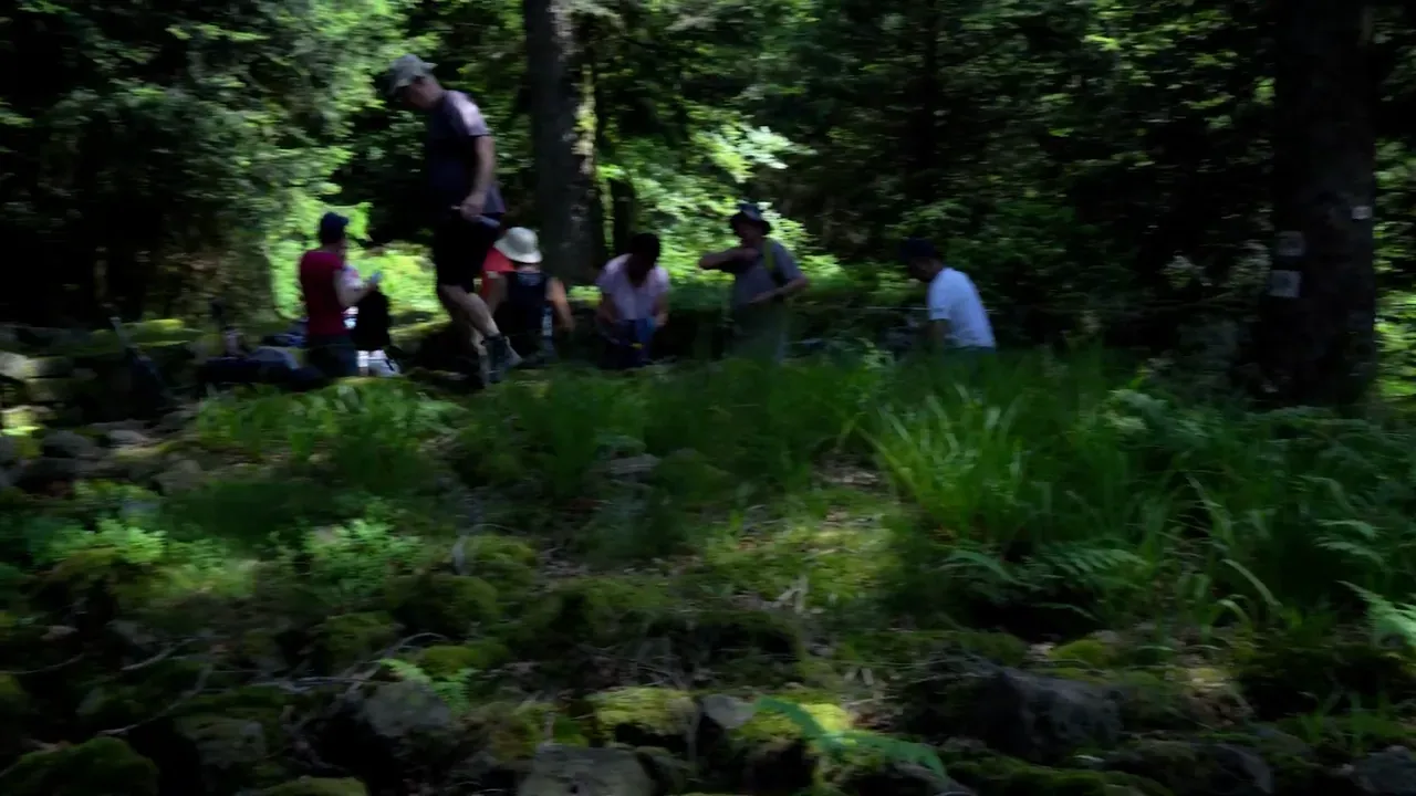 Les Secrets des Vosges — photogramme 20